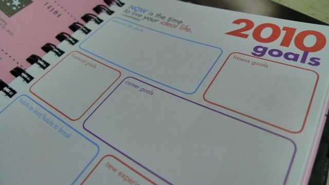 2010 Belle de Jour Planner What are my Plans and Goals for 2010? May this planner help me.