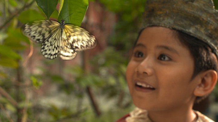 Anthony and the Butterfly