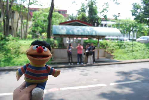Ernie, samahan mo si AJ ha?