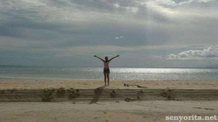 I Survived 2011!